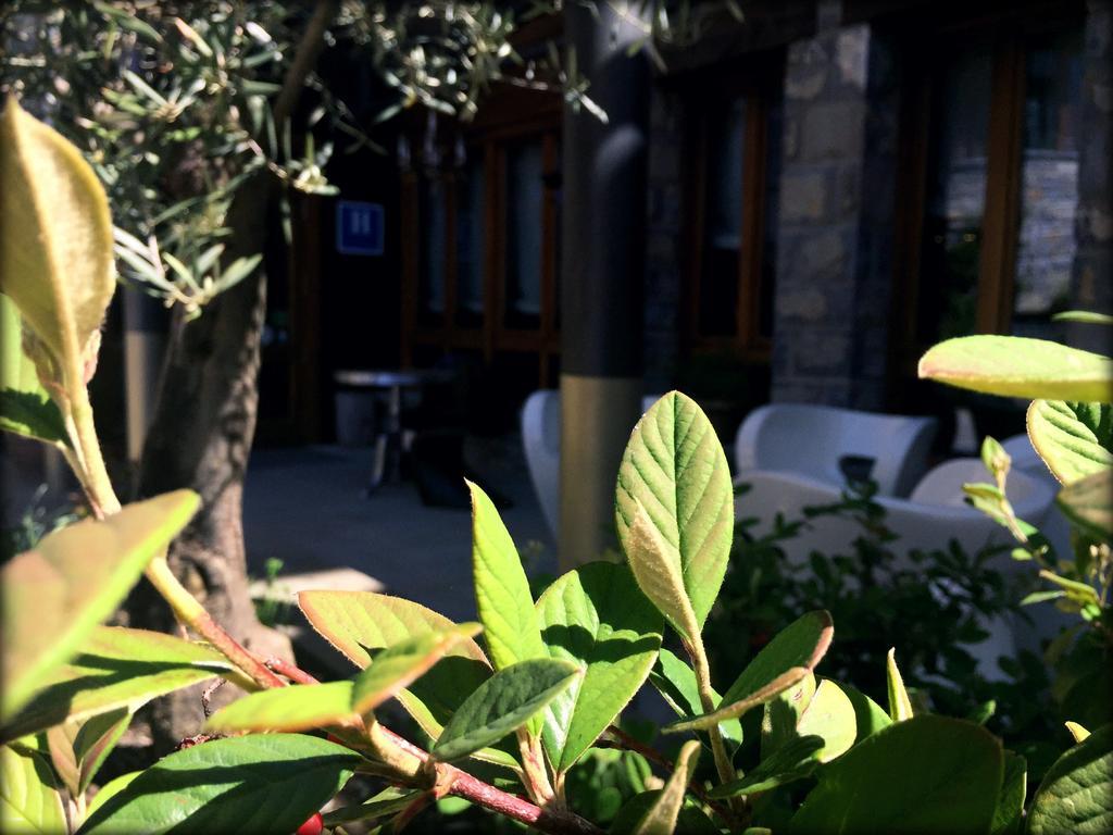 Abadia Del Pirineo Hotel Tramacastilla de Tena Eksteriør billede